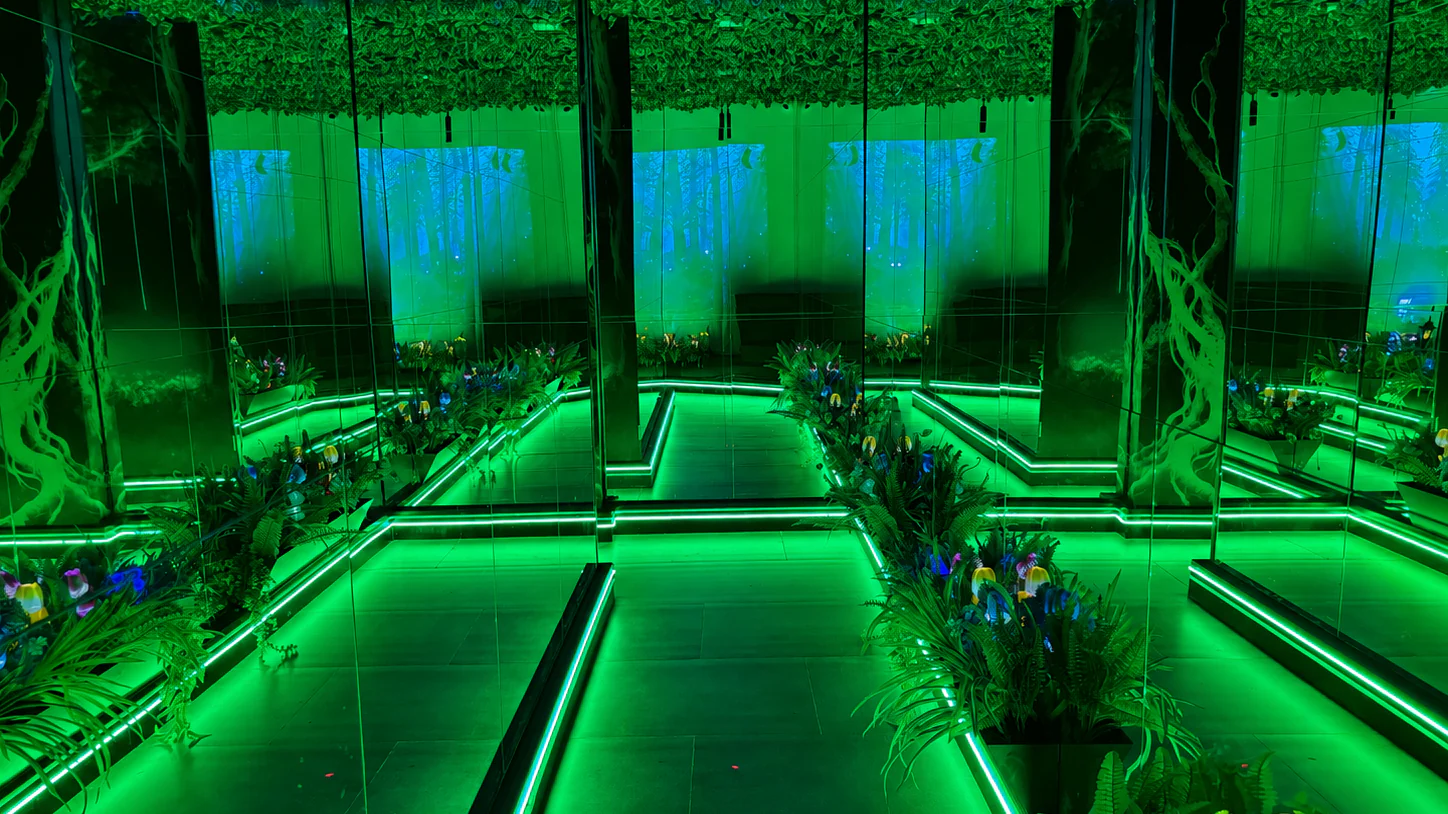 jungle-illusion-gallery-01