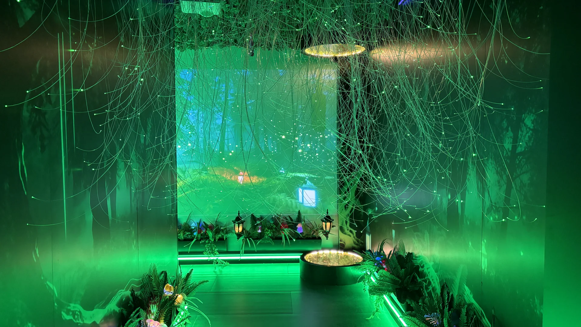 jungle-illusion-gallery-04