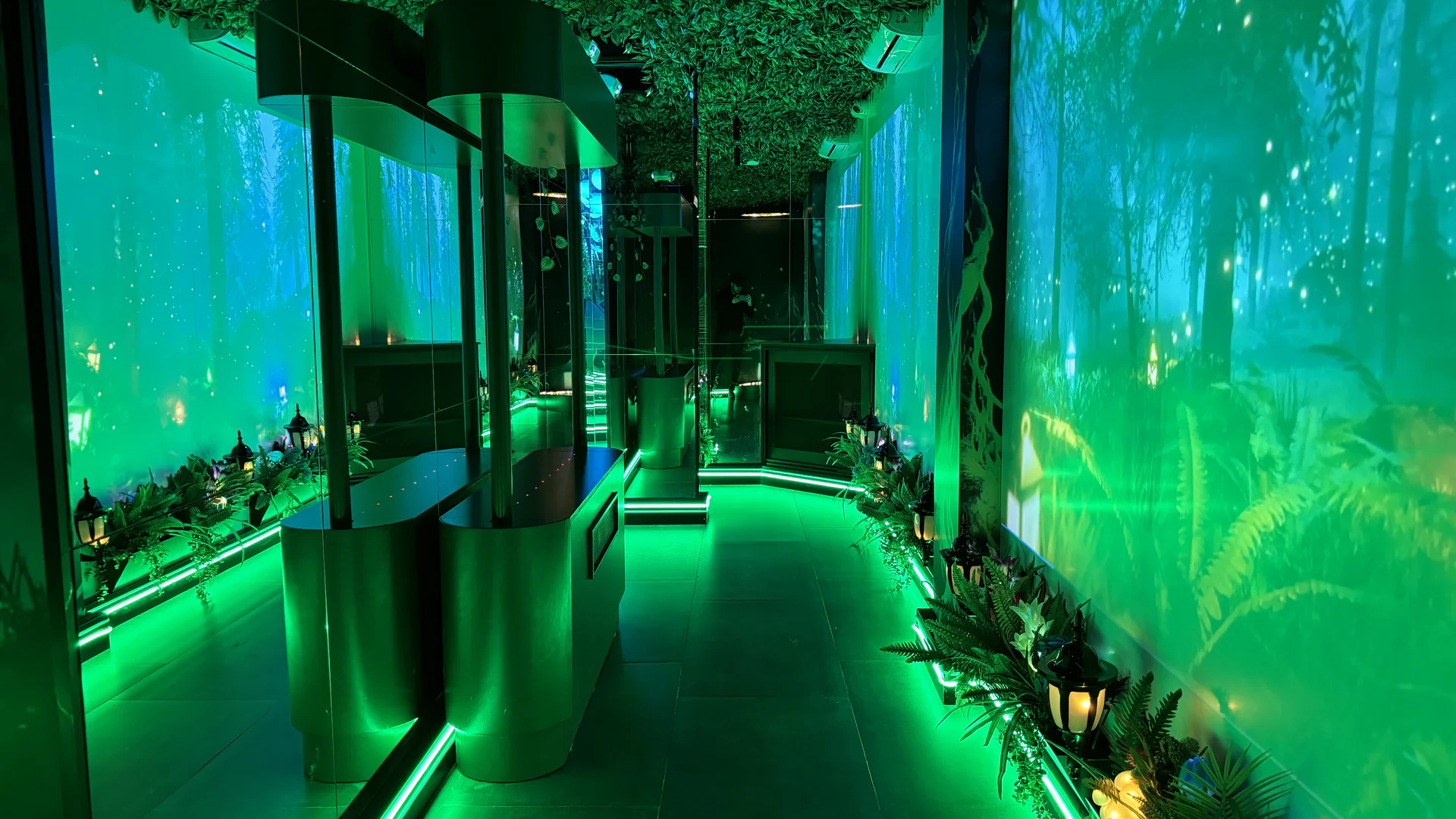 jungle-illusion-gallery-05